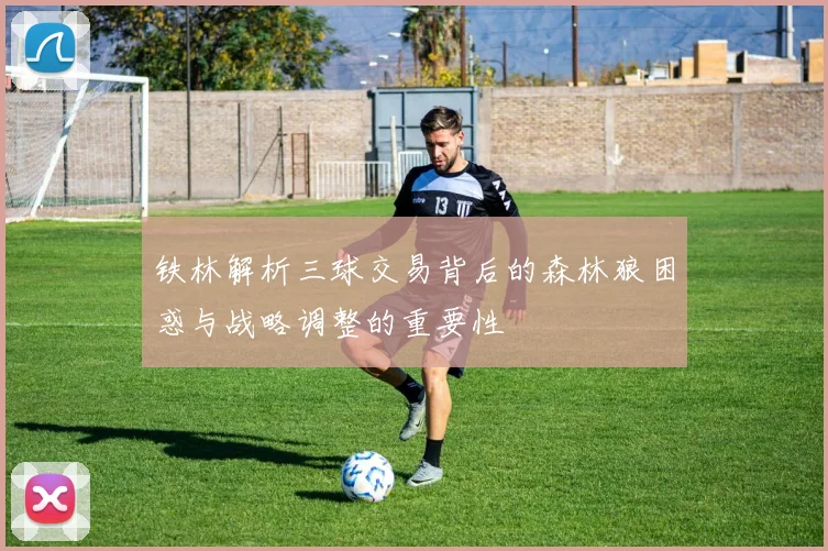 铁林解析三球交易背后的森林狼困惑与战略调整的重要性